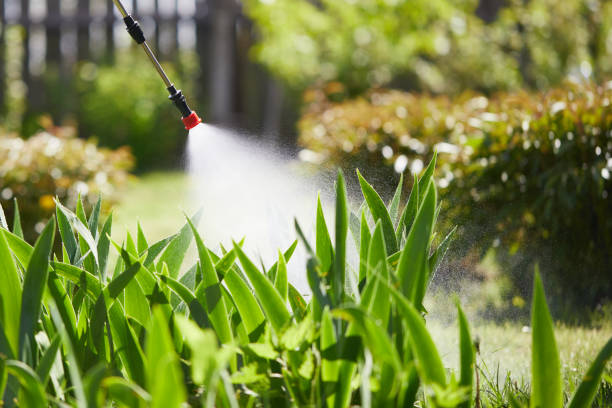 Tamper-Resistant Bait Stations for Rodents in Bethesda