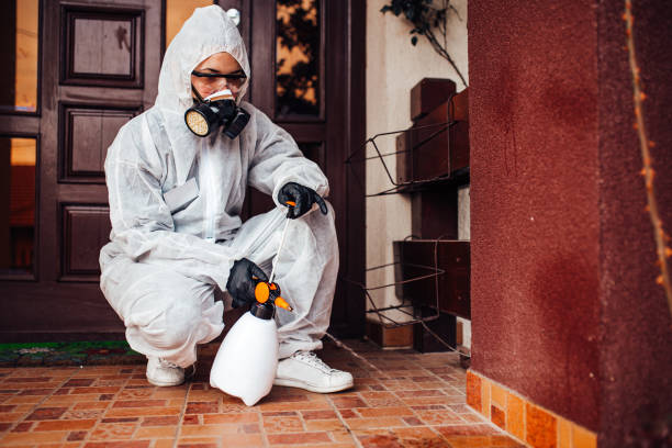Attic and Crawl Space Rodent Treatment in Bethesda