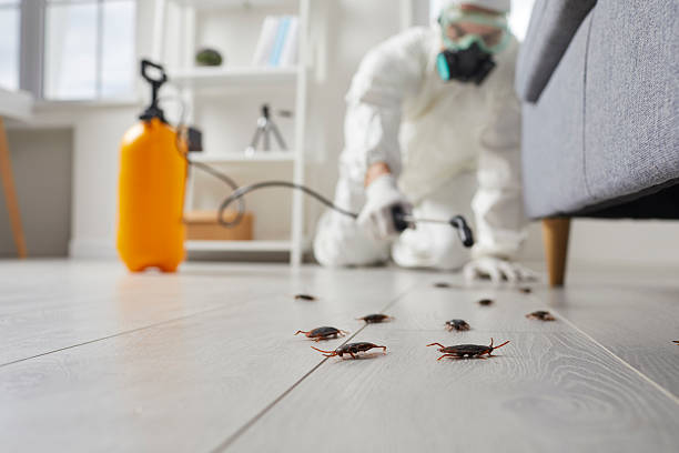 Commercial Rodent Management in Bethesda